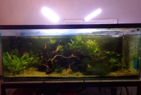 5ft fish tank stand
